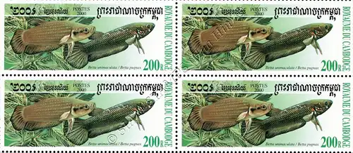 Fighting fish of the genus Betta -BLOCK OF 4- (MNH)