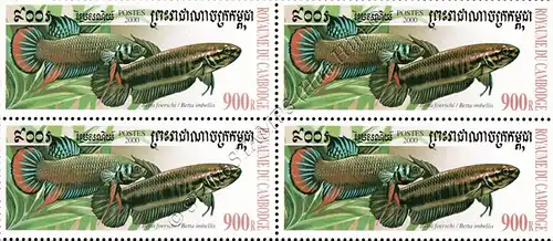 Fighting fish of the genus Betta -BLOCK OF 4- (MNH)