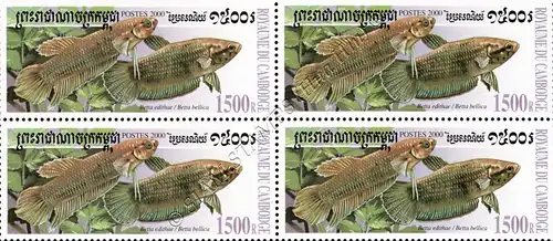 Fighting fish of the genus Betta -BLOCK OF 4- (MNH)