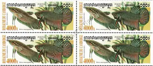 Fighting fish of the genus Betta -BLOCK OF 4- (MNH)