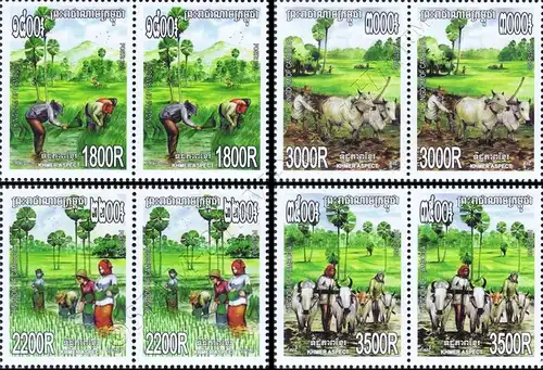 Rice Cultivation -PAIR- (MNH)