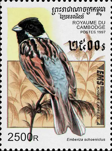 EMS-Express Stamps: Songbirds (MNH)