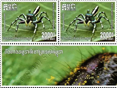 Native Spiders -BLOCK OF 2- (MNH)