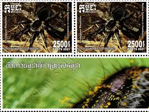 Native Spiders -BLOCK OF 2- (MNH)