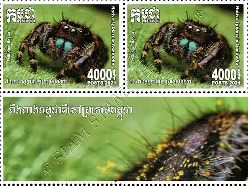 Native Spiders -BLOCK OF 2- (MNH)