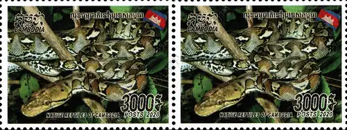 Reptilien in Kambodscha (IV) -PAAR- (**)