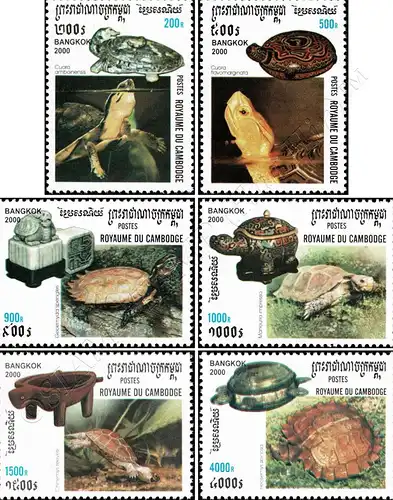 BANGKOK 2000: Schildkröten (**)