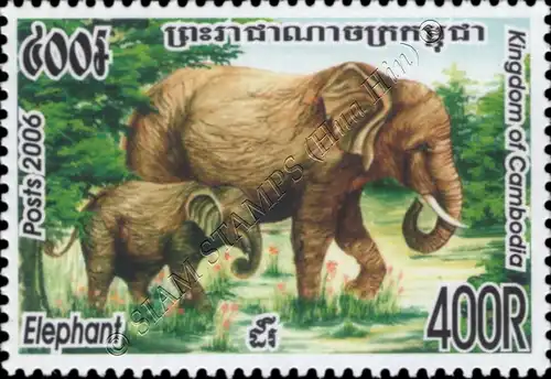 Asiatischer Elefant (**)