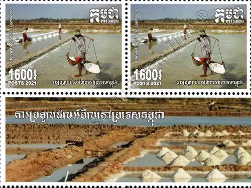 Salzernte in Kambodscha -2er BLOCK- (**)