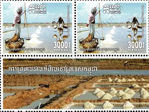 Salzernte in Kambodscha -2er BLOCK- (**)
