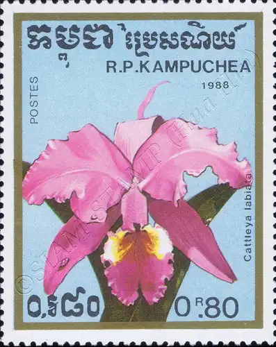 Orchideen (II) (**)