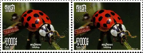 Insekten: Marienkäfer -PAAR- (**)