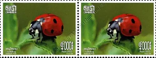Insekten: Marienkäfer -PAAR- (**)
