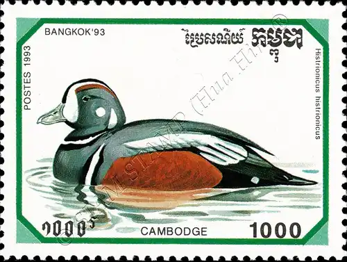 Internationale Briefmarkenausstellung BANGKOK 93: Enten (**)