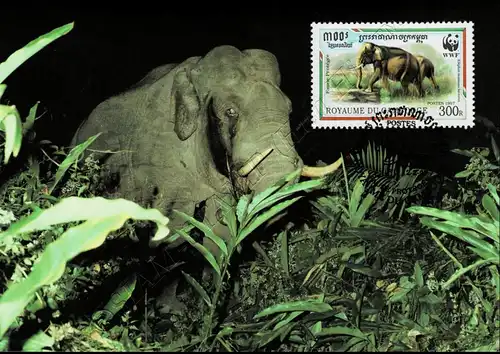 Weltweiter Naturschutz: Malaya-Elefant -MAXIMUM KARTEN MC(I)-