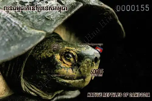 Reptilien in Kambodscha (IV) (354B) -PASSERVERSCHIEBUNG ROT E(I)- (**)
