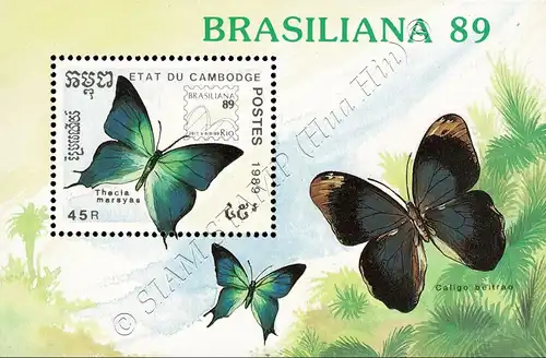 BRASILIANA 89, Rio de Janeiro: Schmetterlinge (170A) (**)