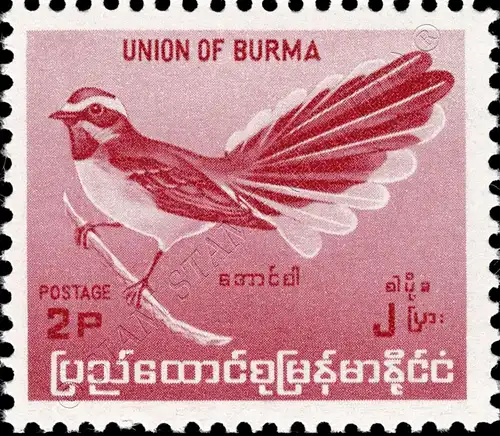 Definitive: Native Birds (I) (MNH)