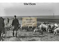 Repro Foto no Original 10x15cm Soldaten mit Schweine Kosaken Don Kuban Terek Kau
