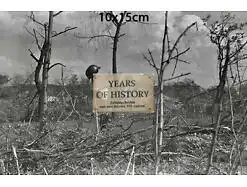 Repro Foto no Original 10x15cm Grab Stahlhelm Kosaken Don Kuban Terek Kaukasus U