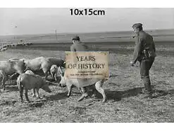 Repro Foto no Original 10x15cm Soldaten mit Schweine Kosaken Don Kuban Terek Kau