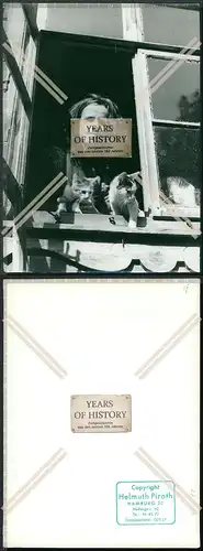 Pressefoto 24x18cm Hamburg Katzen im Fenster junge Frau 50/60er Jahre
