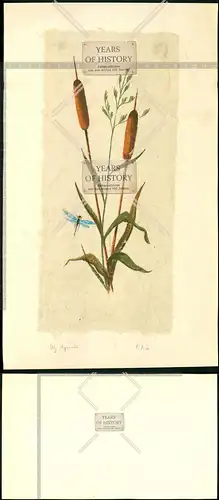 Orig. Aquarell 37x22 cm signiert Blume