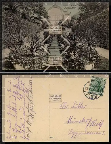 Orig. AK Köln Flora gel. 1911