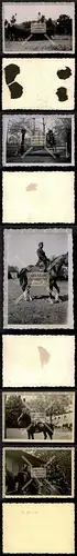 Orig. Foto Pferd Springpferd Reiten Hindernisse Hürden und vieles mehr