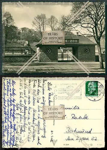 Orig. Foto AK Halle Saale Zoo Eingang Straßenansicht 