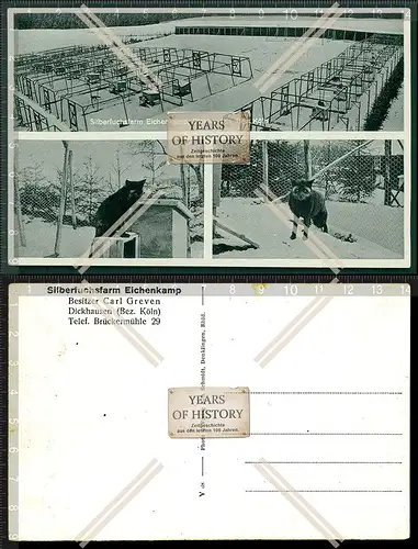 Orig. AK Dickhausen Waldbröl Silberfuchsfarm Eichenkamp Brückermühle 29 Besi