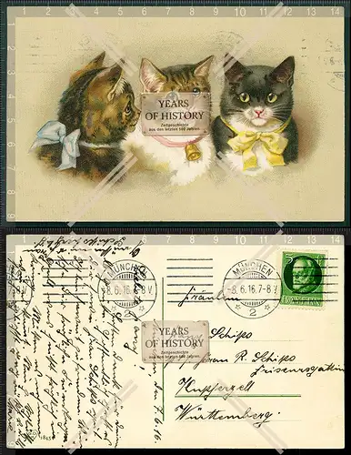 Orig. AK Künstler Katzen Kätzchen mit Schleife und Glocke 1916 München gelau