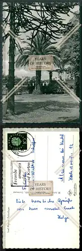 Orig. Foto AK Insel Mainau Bodensee Parkanlagen