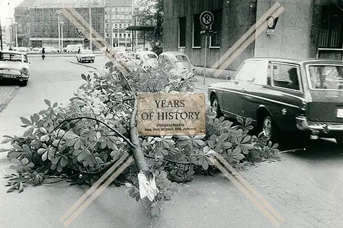 Foto Dortmund Innenstadt 1968 umgestürzte Bäume nach Unwetter
