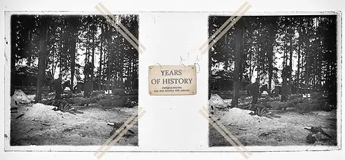 Orig. Stereo Glasdia 1.WK Weltkrieg 1914-18 Ostfront im Wald Bunker Shelter 