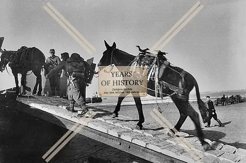 Foto Soldaten führen Pferde auf Boot Schiff