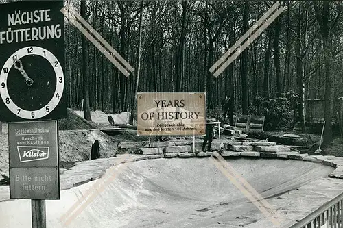 Foto Dortmund Tierpark Zoo Renovierung der Seelöwen Anlagen 1967-69