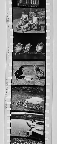 22x Dia 1933-39 kompletter Film- Tierschutz für Kinder in den ersten Schuljahren