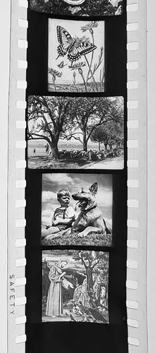 22x Dia 1933-39 kompletter Film- Tierschutz für Kinder in den ersten Schuljahren