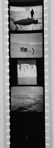 35x Dia 1933-39 kompletter Film - Australien Polargebiete Polynesien Neuseeland