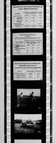 42x Dia 1933 kompletter Film - Bauer zweckmäßige Nutzung von Gras und Klee uvm.