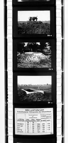 42x Dia 1933 kompletter Film - Bauer zweckmäßige Nutzung von Gras und Klee uvm.