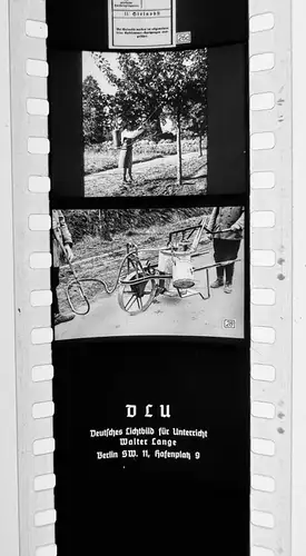 30x Dia 1933 kompletter Film - Obstbaumpflege Bauernhof Hrsg. Reisbauernführer