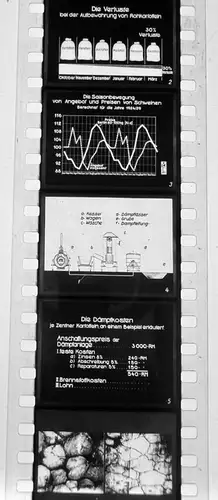 19x Dia 1933 kompletter Film- Bauer Kartoffelernte Verwertung Maschinen Lanz uvm