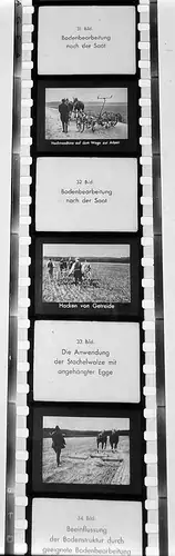 ca.30x Dia 1933 kompletter Film Bodenbearbeitung Landwirtschaft Bauer Pflug uvm.
