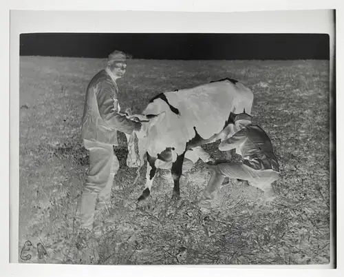 5x Original Negativ Soldaten nähe Küste Frankreich Bretagne 1940