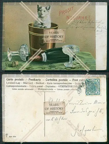AK Litho Neujahr Katze im Sekt Kübel Sektflasche 1909 gelaufen