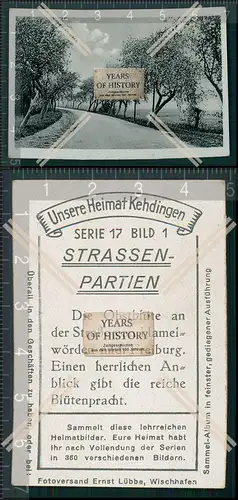 Heimat Kehdingen STRASSEN-PARTIEN Die Obstblüte an der Straße von Hamelwörde