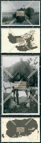 Foto 2x Bauer mit Pferde Heuernte Landarbeit 1933