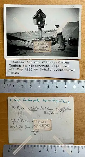 Foto Camp 306/20 Kriegsgefangenenlager Ägypten Afrika Prisoner of War POW ab 1